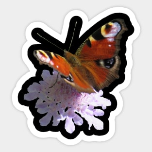 trendy with a beautiful flower, butterfly, peacock Sticker